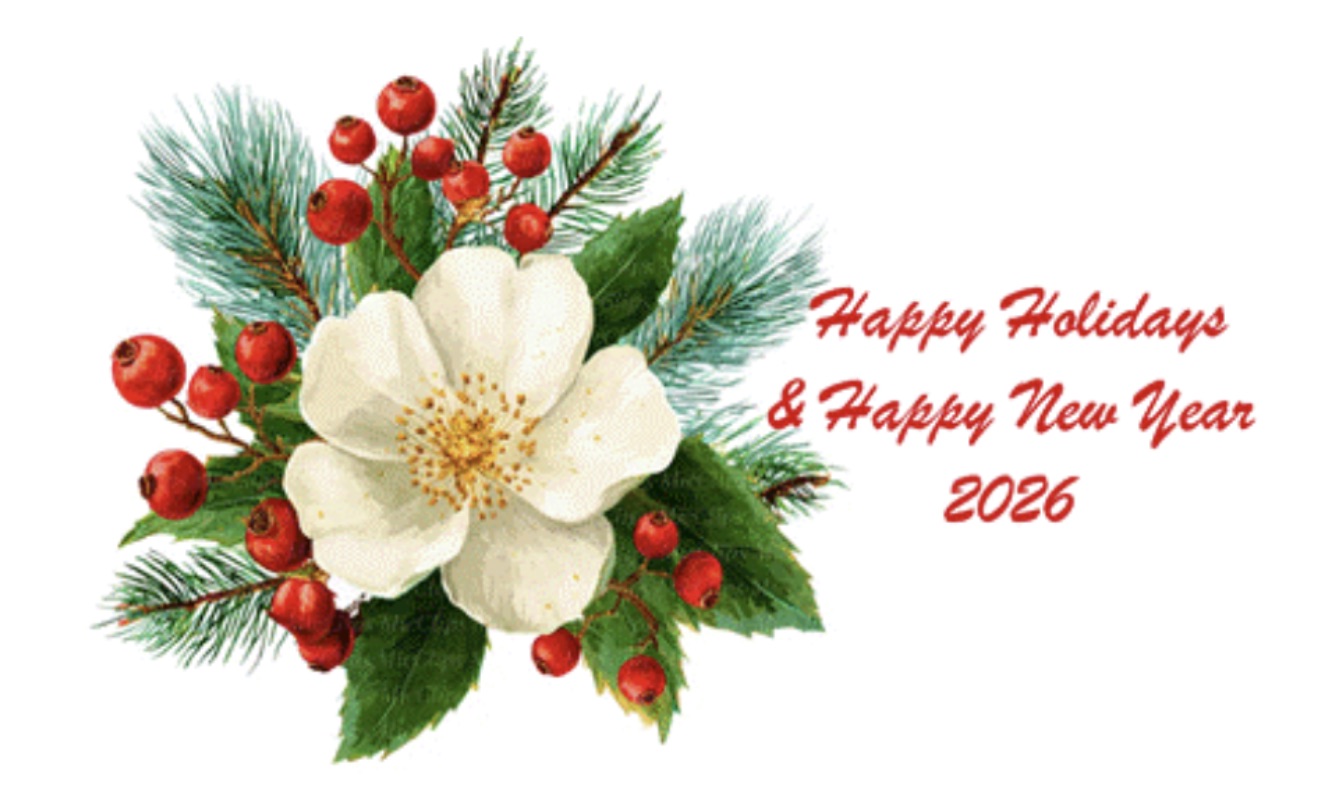 екрана 2025 12 30 о 14.50.53